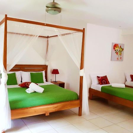 Hotel Casa Mapache Tamarindo Zewnętrze zdjęcie