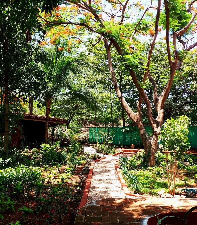 Hotel Casa Mapache Tamarindo Zewnętrze zdjęcie