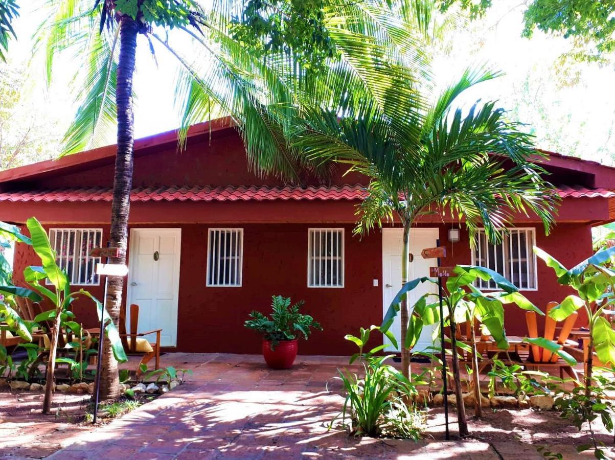 Hotel Casa Mapache Tamarindo Zewnętrze zdjęcie